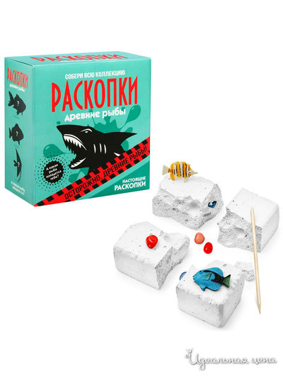 Раскопки Древние Рыбы Раскопки