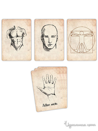 Части тела, набор 10 карт Pandora Box Studio