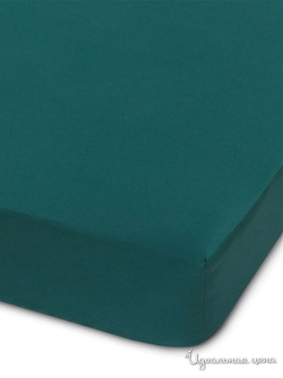 Комплект : простыня на резинке 160*200 см,  наволочка 50*70 см - 2 шт NDS Fitted Garsaf, цвет изумрудный