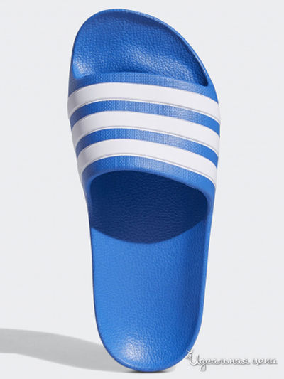 Шлепанцы Adidas, цвет синий