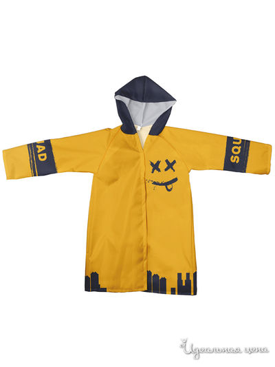 Плащ-дождевик Котозавр, цвет мультиколор