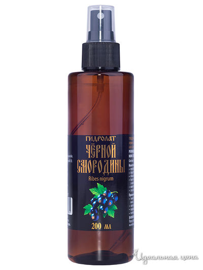 Гидролат Чёрной смородины, 200 мл, АРОМА ВЯТКА