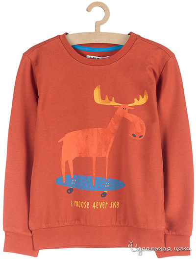 Толстовка 5.10.15, цвет оранжевый