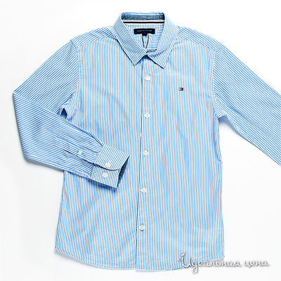 Рубашка Tommy Hilfiger, цвет принт голубая полоска