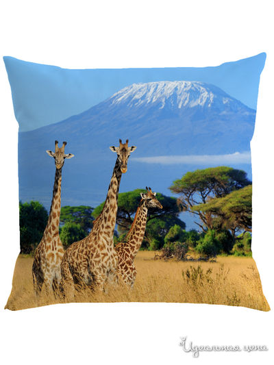 Подушка декоративная, 40*40 см Сирень, цвет мультиколор