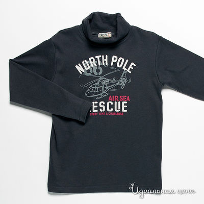 Водолазка Petit Patapon, цвет цвет графитовый