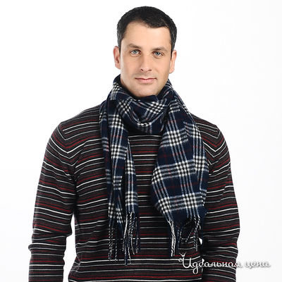 Шарф Pezzo, цвет цвет темно-синий / красный