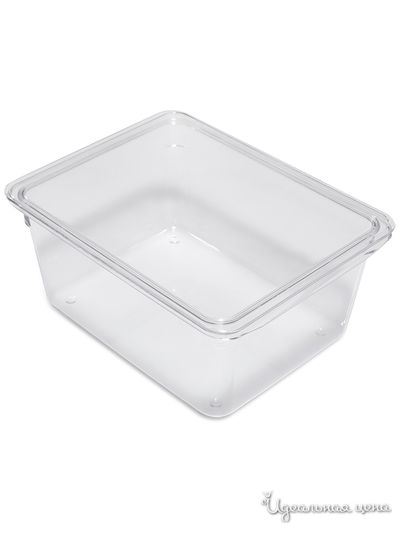 Контейнер для холодильника, с крышкой, 22.5х17.5х10 см DOSH HOME, цвет прозрачный