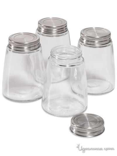 Набор емкостей для специй, 160 мл, 4 шт DOSH HOME, цвет стальной