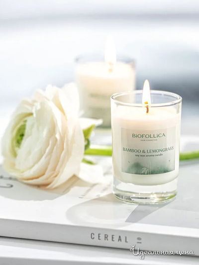 Соевые арома-свечи Biofollica Бамбук и лемонграсс Biofollica