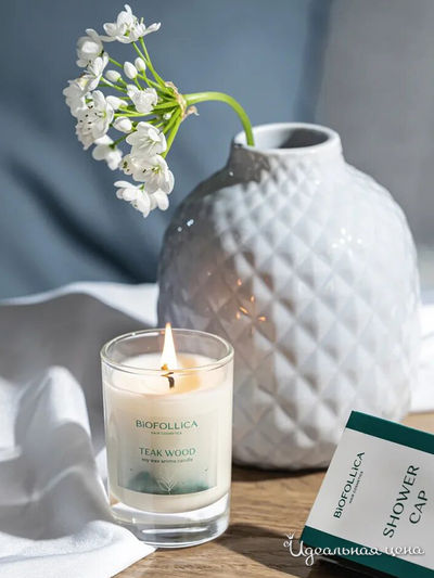 Соевые арома-свечи Biofollica Тиковое дерево Biofollica