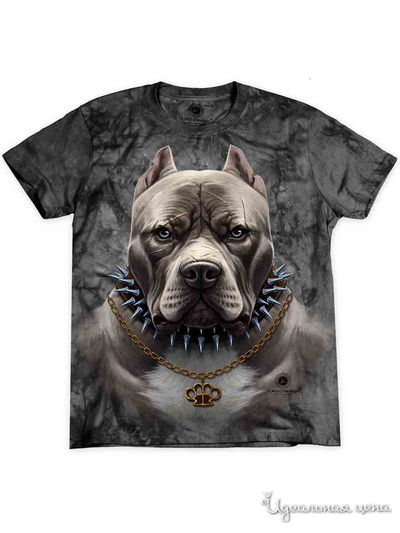 Футболка Cassowary, цвет темно-серый