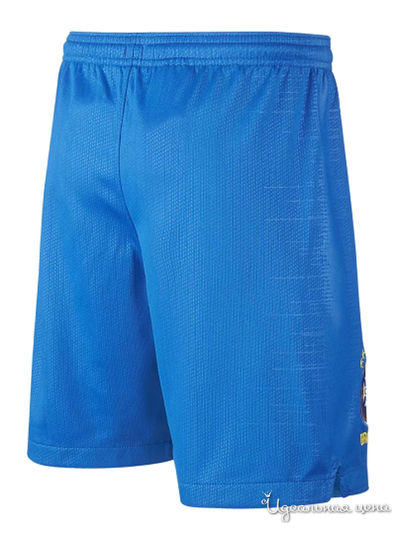 Шорты Nike, цвет синий