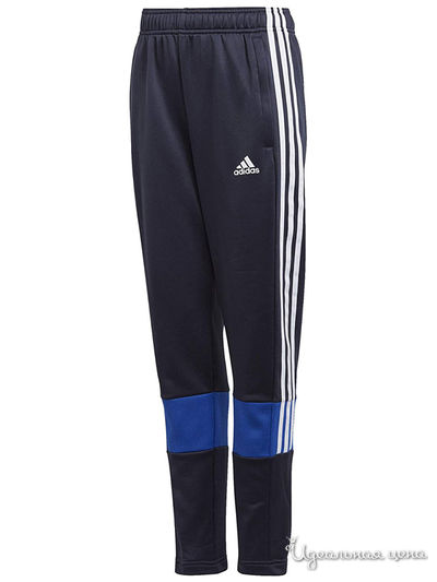 Брюки Adidas, цвет синий