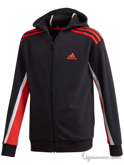Толстовка Adidas, цвет черный