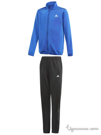Костюм спортивный Adidas, цвет синий