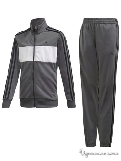 Костюм спортивный Adidas, цвет серый