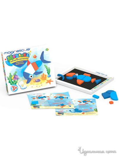 Развивающая игра MAGNETICUS