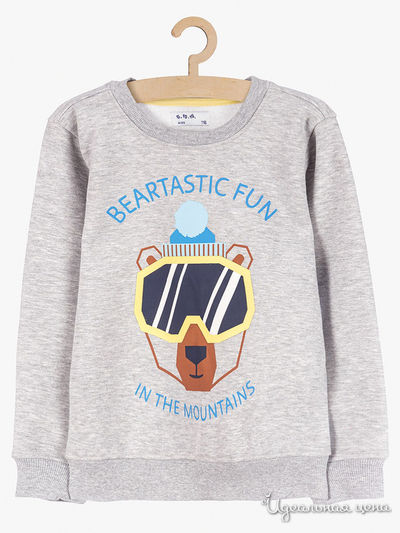 Толстовка 5.10.15, цвет cерый