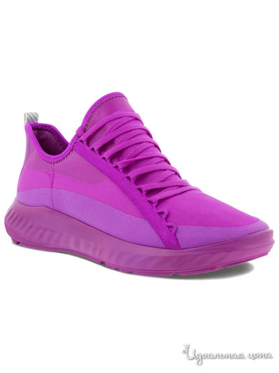 Кроссовки Ecco, цвет пурпурный