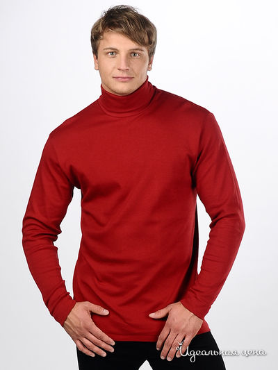 Водолазка Infil, цвет цвет бордо