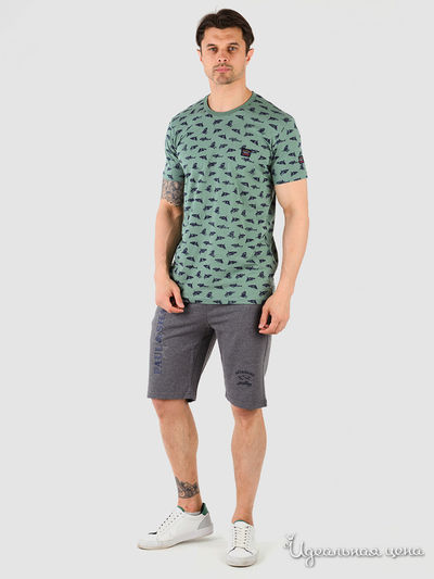 Шорты Paul & Shark, цвет Серый