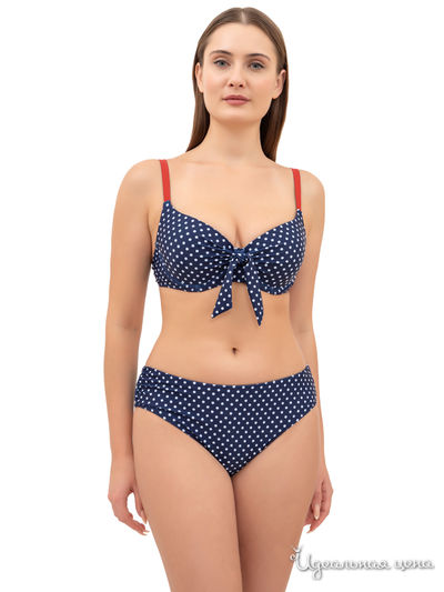  Primaverina, цвет темно-синий