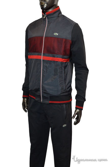  Lacoste, цвет Темно-серый