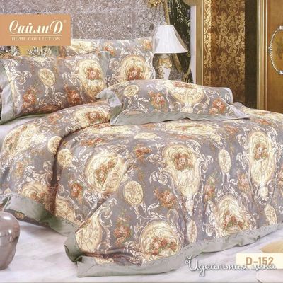  СайлиД, цвет мультиколор