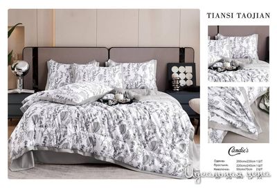  Candie's, цвет мультиколор