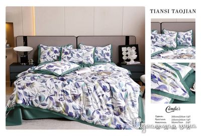  Candie's, цвет мультиколор