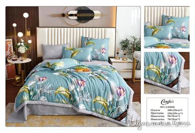  Candie's, цвет мультиколор