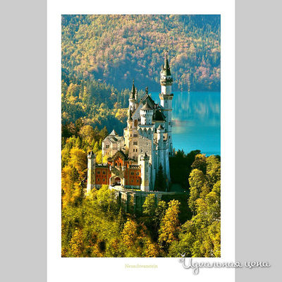 Панно Top posters