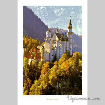 Панно Top posters