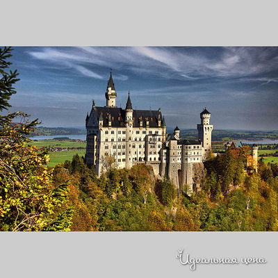 Панно Top posters