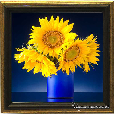 Миниатюра Top posters