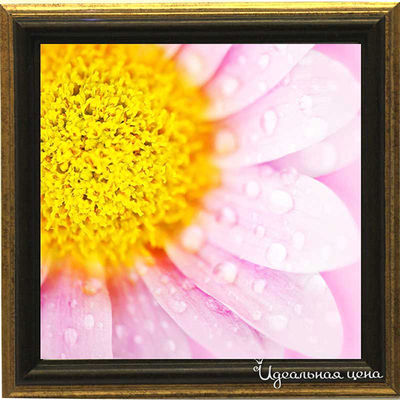 Миниатюра Top posters