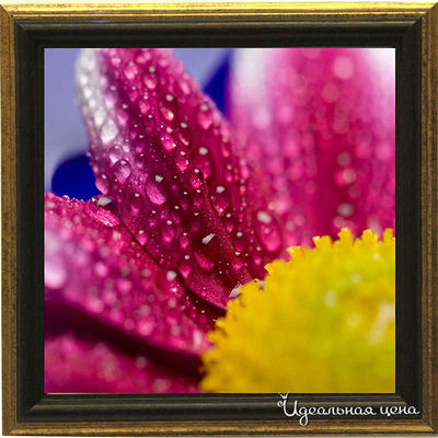 Миниатюра Top posters