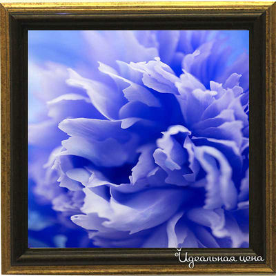 Миниатюра Top posters