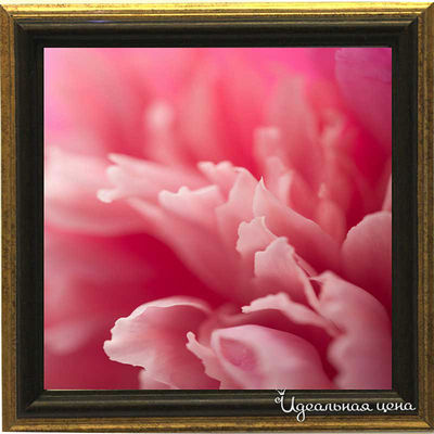 Миниатюра Top posters