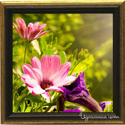 Миниатюра Top posters