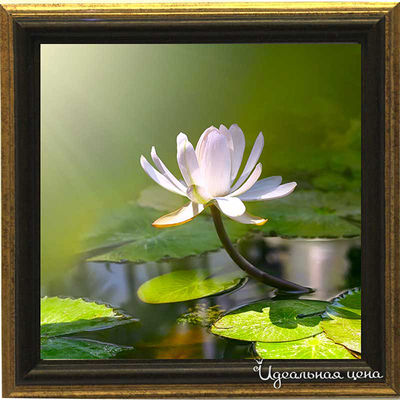 Миниатюра Top posters