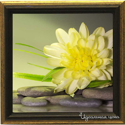 Миниатюра Top posters