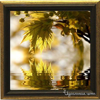 Миниатюра Top posters