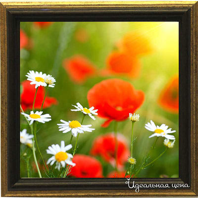 Миниатюра Top posters