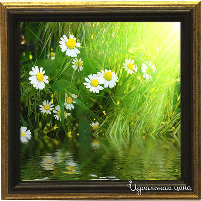 Миниатюра Top posters