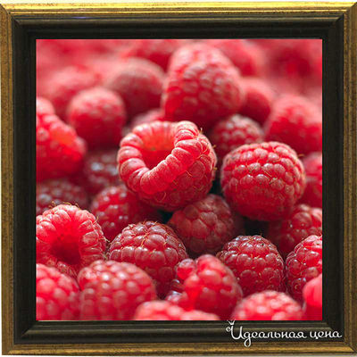 Миниатюра Top posters