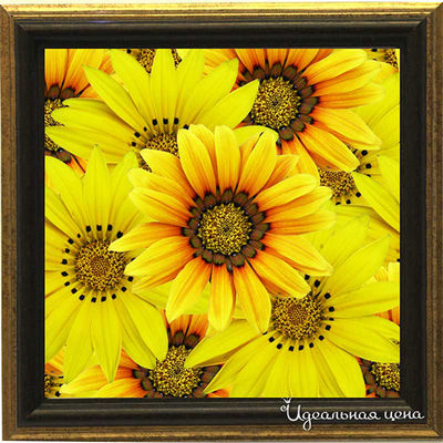 Миниатюра Top posters