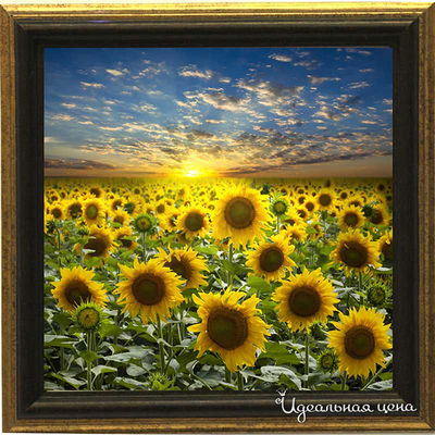 Миниатюра Top posters