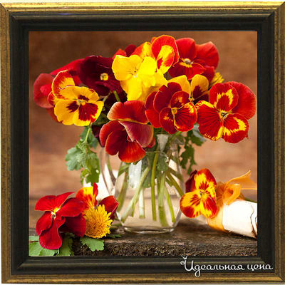 Миниатюра Top posters